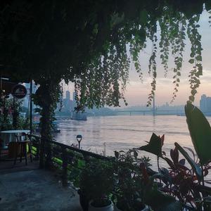 秦岚三级露全乳视频
